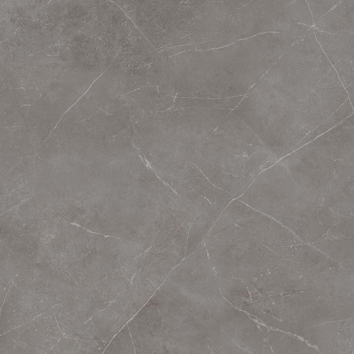 NL03 Nolana Dark Grey 600x600 неполированный серый