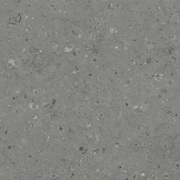 G213MR Arkaim Grey (Аркаим Грей) 600x600 матовый серый