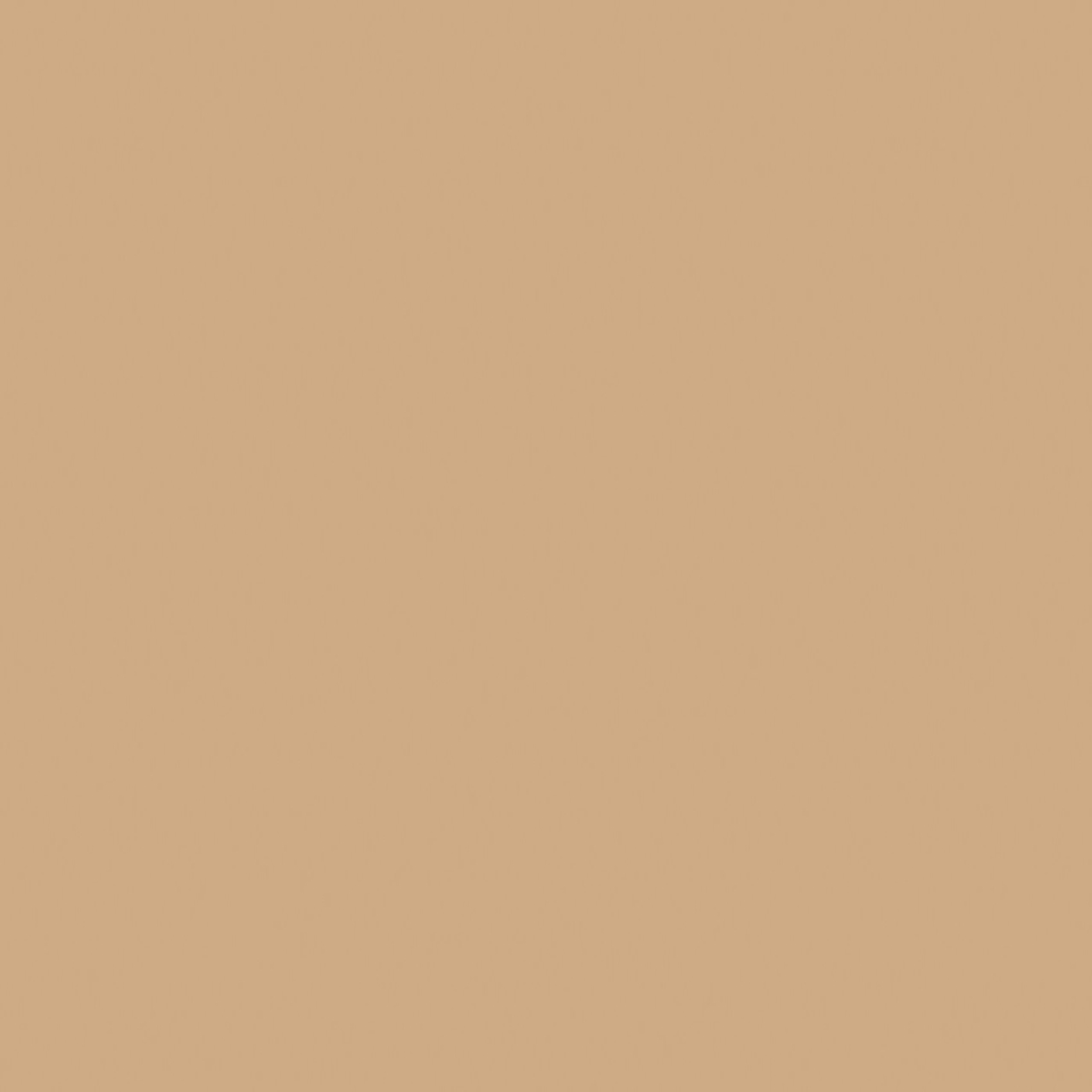 RW15 Rainbow Beige 600x600 неполированный бежевый